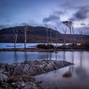 Schottland, Nov 2019 (neu)
